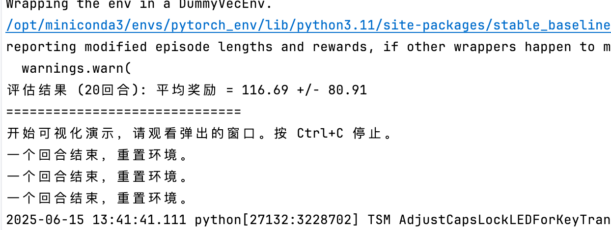 SB3 PPO 评估输出
